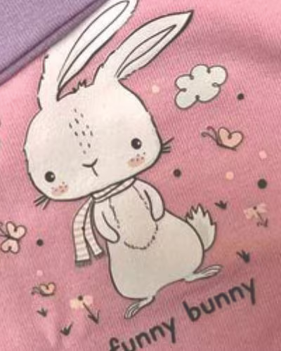 صورتی طرح فانی بانی